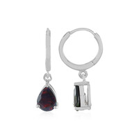 Orecchini in argento con Opale Mezezo