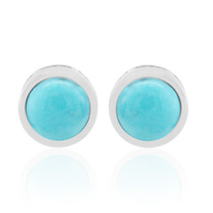 Orecchini in argento con Turchese Campitos (Anne Bever)