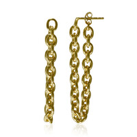 Orecchini in argento