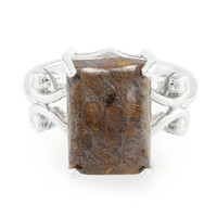 Anello in argento con Quarzo Dinosauro