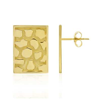 Orecchini in argento