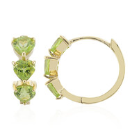 Orecchini in argento con Peridoto della Birmania