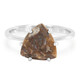 Anello in argento con Quarzo Dinosauro