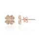 Orecchini in oro con Diamante Rose de France SI1 di Argyle (Annette)