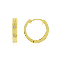 Orecchini in argento con Diamante PK (J)