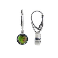 Orecchini in argento con Ammolite