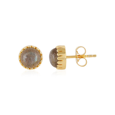 Orecchini in argento con Labradorite