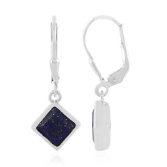 Orecchini in argento con Lapislazzuli