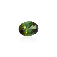 Gemma con Tormalina Verde