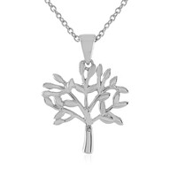 Collana in argento con Diamante I4 (J)