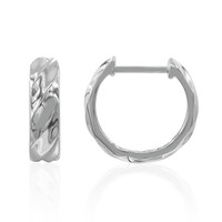 Orecchini in argento