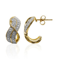 Orecchini in argento con Diamante PK (I)