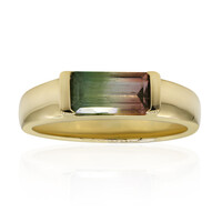 Anello in oro con Tormalina Bicolore