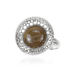 Anello in argento con Legno Fossile