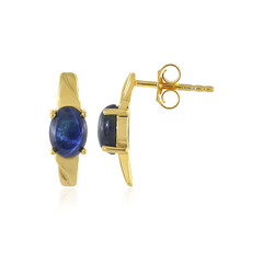 Orecchini in argento con Zaffiro Stellato Blu