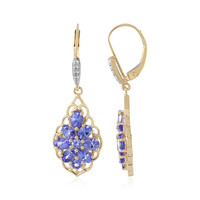Orecchini in oro con Tanzanite (Adela Gold)