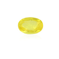 Gemma con Zaffiro Giallo