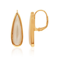 Orecchini in argento con Madreperla