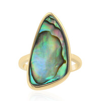 Anello in argento con Conchiglia Abalone