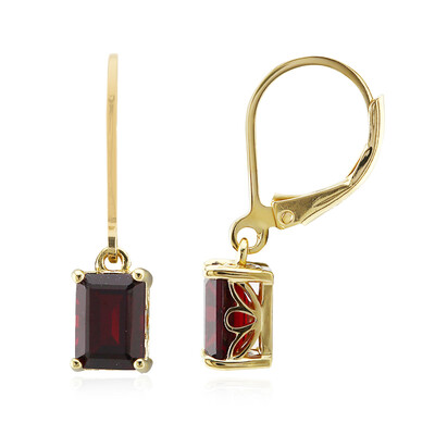 Orecchini in argento con Granato