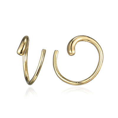 Orecchini in argento