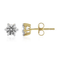 Orecchini in oro con Zircone