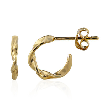 Orecchini in argento