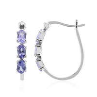 Orecchini in argento con Tanzanite