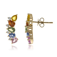 Orecchini in oro con Zaffiro Fancy