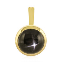Ciondolo in argento con Diopside Stellato d'India