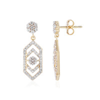 Orecchini in argento con Zircone