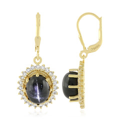 Orecchini in argento con Diopside Stellato d'India