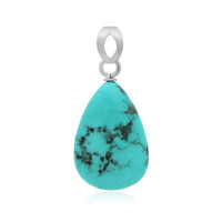 Ciondolo in argento con Turchese