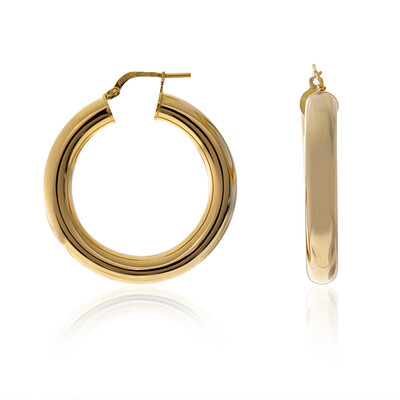 Orecchini in argento (Joias do Paraíso)