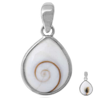 Ciondolo in argento con Occhio di Shiva