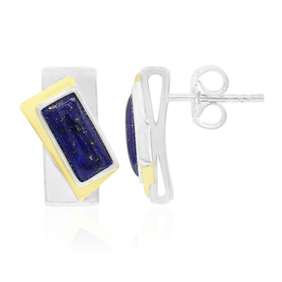 Orecchini in argento con Lapislazzuli (MONOSONO COLLECTION)