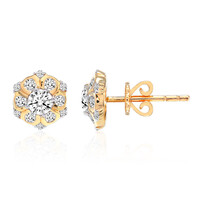 Orecchini in oro con Diamante SI1 (G)