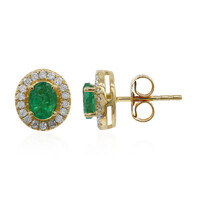 Orecchini in oro con Smeraldo Zambia AAA