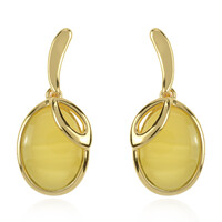 Orecchini in argento con Ambra Baltica