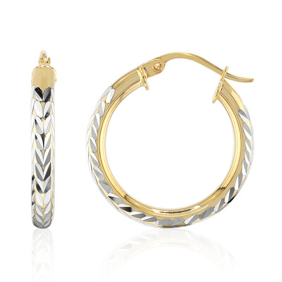 Orecchini in argento