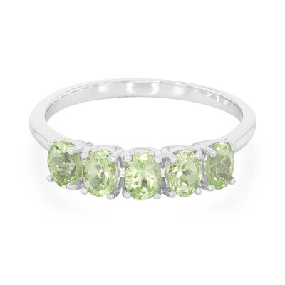 Anello in argento con Granato Menta Merelani