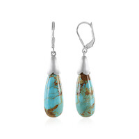 Orecchini in argento con Turchese Kingman