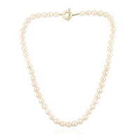 Collana in argento con Perla Akoya (TPC)