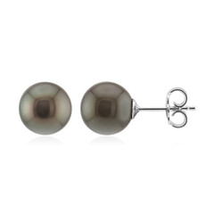 Orecchini in argento con Perla Tahitiana (TPC)