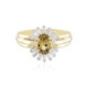 Anello in oro con Tanzanite Gialla (non riscaldata) (Adela Gold)