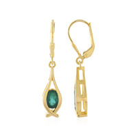 Orecchini in argento con Grandidierite