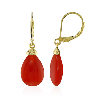 Orecchini in argento con Agata Rossa