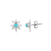 Orecchini in argento con Turchese