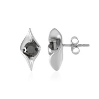Orecchini in argento con Diamante Nero