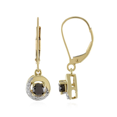 Orecchini in oro con Diamante Nero